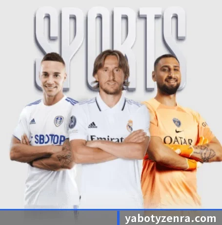 五大服务分区,信息按项目分类（YaboSportsApp）